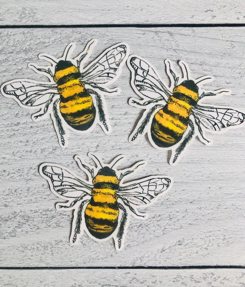 Bumble Bee Sticker Cute Bee Sticker for Laptop, Water Bottle, Car Bee Decal image 3