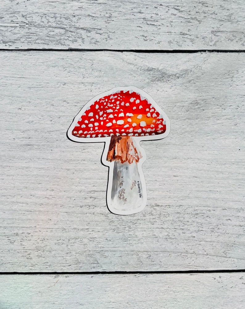 Red Mushroom Magnet image 2