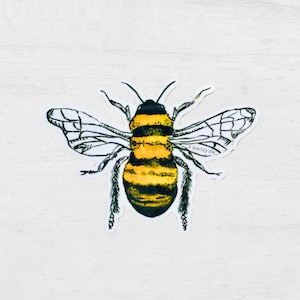 Bumble Bee Sticker | Cute Bee Sticker for Laptop, Water Bottle, Car | Bee Decal