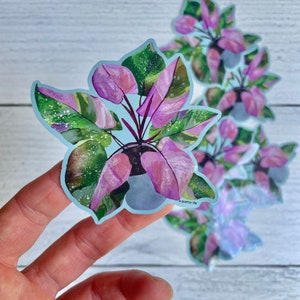 May include: A sticker featuring a watercolor illustration of a pink and green houseplant in a pot. The sticker has a light blue background and the text "a quirky life" is printed in the bottom right corner.