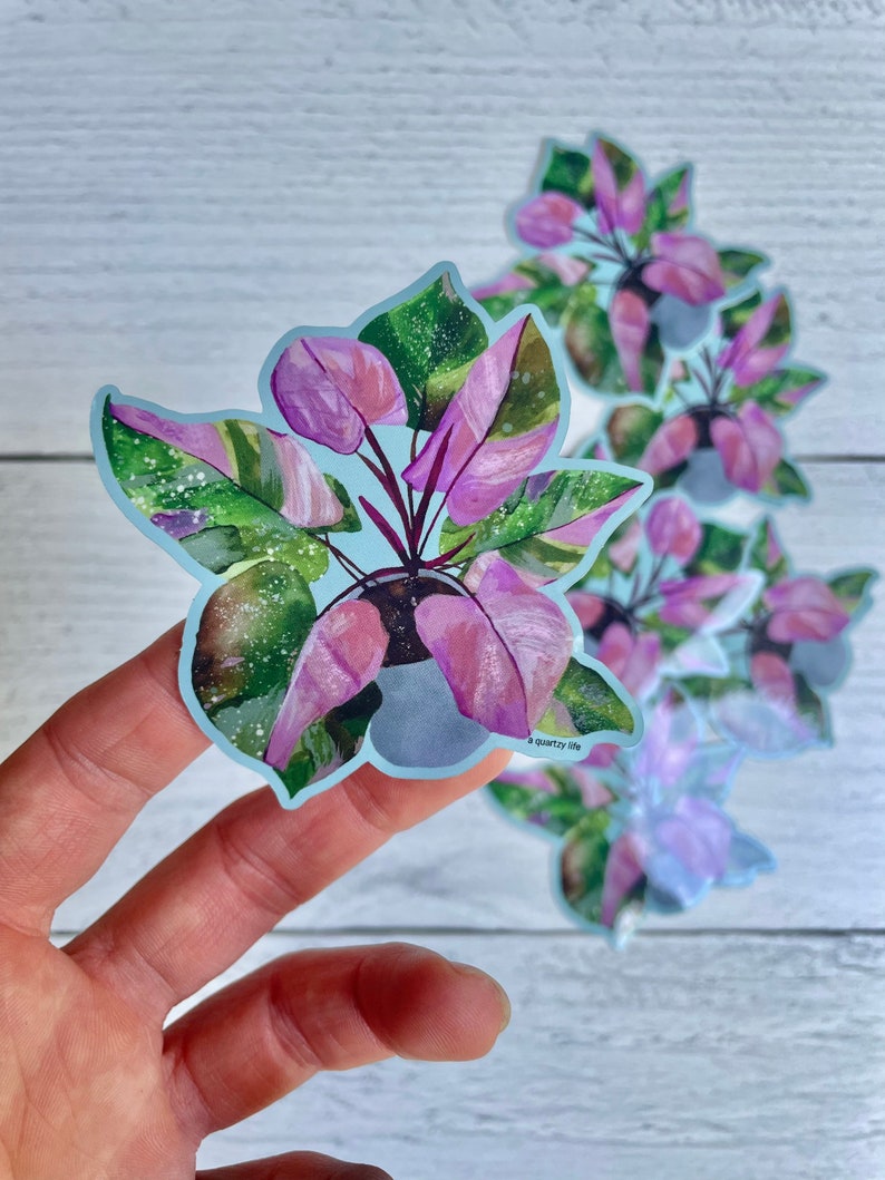 May include: A sticker featuring a watercolor illustration of a pink and green houseplant in a pot. The sticker has a light blue background and the text "a quirky life" is printed in the bottom right corner.