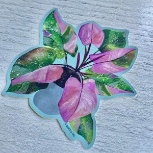 May include: A sticker featuring a watercolor illustration of a pink and green plant with the text "a quirky life" at the bottom.