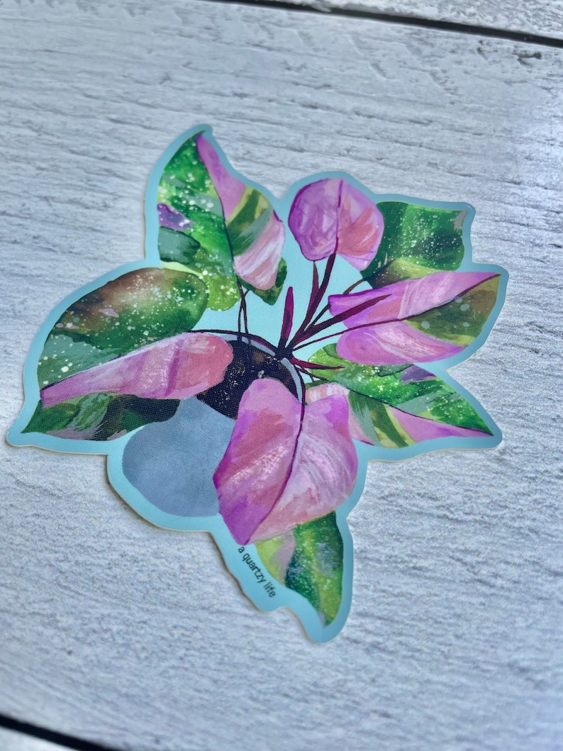 May include: A sticker featuring a watercolor illustration of a pink and green plant with the text "a quirky life" at the bottom.