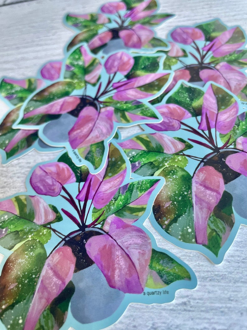 May include: A set of six pink and green watercolor stickers featuring a potted plant with the text "a quartzy life".