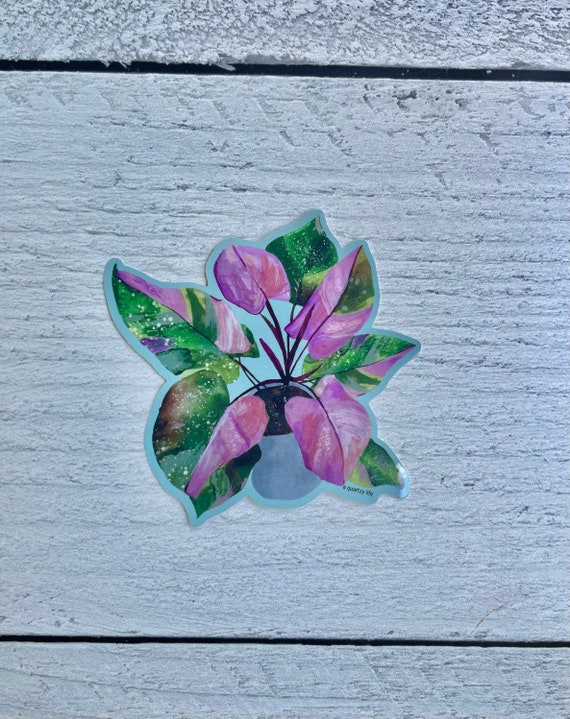 Pink Princess Philodendron Sticker | Rare Houseplant Decal for Water Bottle, Car