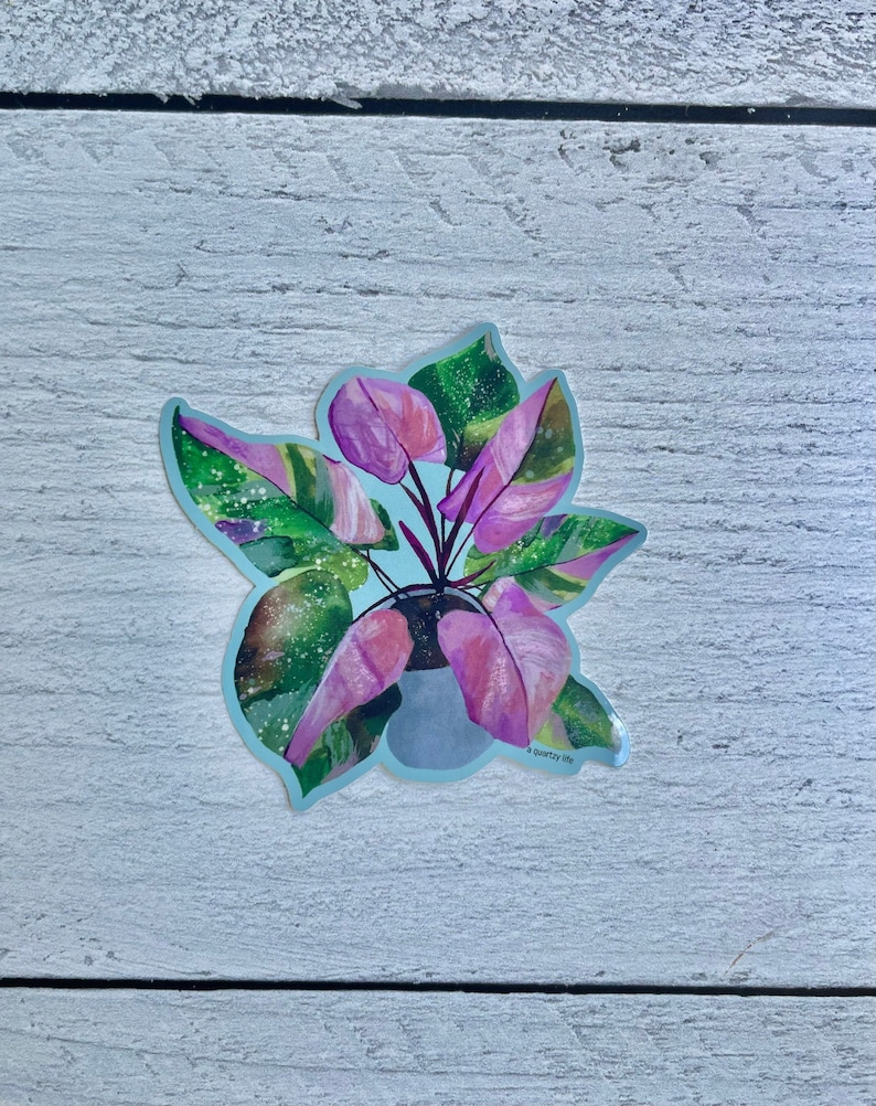 May include: A pink and green watercolor illustration of a houseplant in a pot. The plant has large, pink leaves with green veins and white speckles. The pot is a light gray color. The text "a quirky life" is printed in white at the bottom of the image.