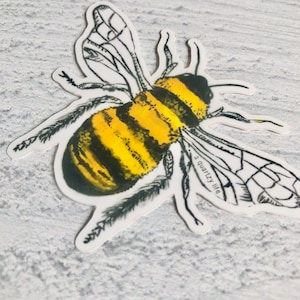 Bumble Bee Sticker Cute Bee Sticker for Laptop, Water Bottle, Car Bee Decal image 2