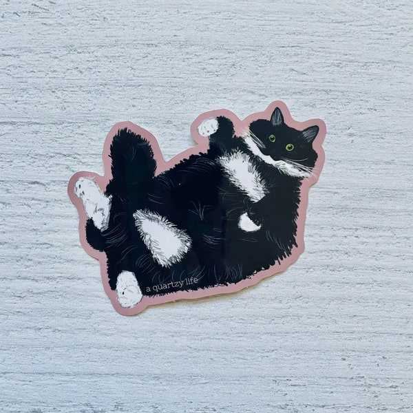 Niedliche Tuxedo Katze Sticker | Haustier Schwarze Katze Aufkleber
