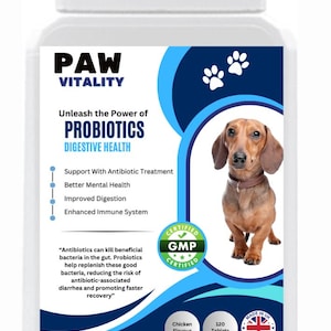 Boost Your Pet&#39;s Health With Our Probiotics | Improve Digestion, Immunity, & Overall Wellness For a Happier, Healthier Dog