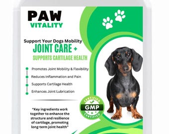 Hip and Joint Supplement for Dogs | Mobility & Arthritis Relief