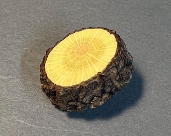 Botón de madera de Nadina