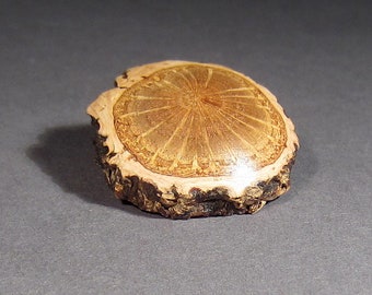 Botón de alcornoque