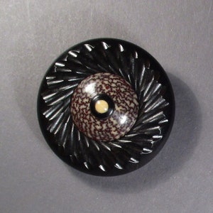 Betel Nut & Blackwood Button