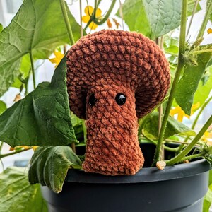May include: A handmade brown crochet mushroom with black button eyes sits in a black plant pot. The mushroom is surrounded by green leaves and yellow flowers, creating a whimsical, nature-inspired scene. The plush mushroom is a decorative item.