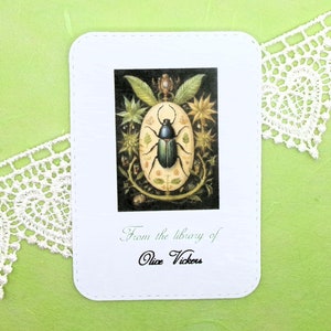 Victorian Beetle Personalized Bookplate Sticker - Set of 10 - Adhesive - Peel and stick - Gift under 15 - Book Plate - Gift for bookworm