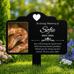 Puede incluir: Un estaca de jardín conmemorativa rectangular negra con un icono de corazón blanco en la parte superior. Incluye una foto de una serpiente con patrones marrones y naranjas a la izquierda y el texto In loving Memory of Sofie 2025-2026.