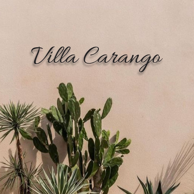 May include: A close-up of a beige wall with the text "Villa Carango" written in black cursive script.  There are green cactus plants in front of the wall.