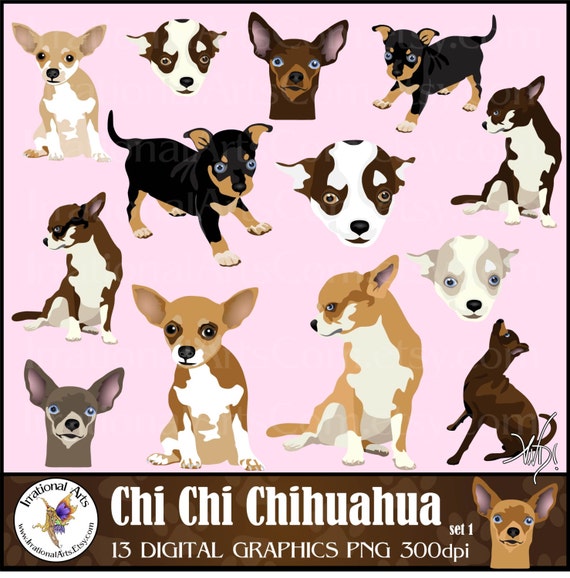 chi chi chihuahua