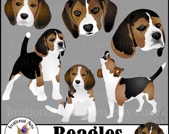 Beagles Dog Graphics set 1 - 6 digital graphics with 3 beagles and 3 faces {Instant Download}