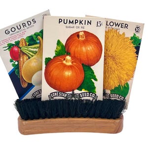 Vintage höstfröpåsar/Vintage skoputsningsborste/Höstdekorationer till Thanksgiving/Pumpa-, solros- och kalebassfröpåsar/Vintage höstdekor