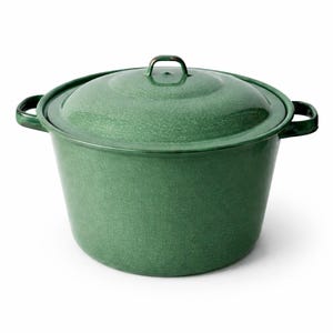 May include: A green enamel cooking pot with a matching lid. The pot has two side handles and a loop handle on the lid. The pot is a solid green color with a speckled texture.