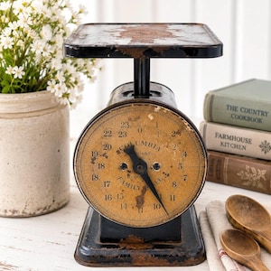 Americana Family Scale - Etsy