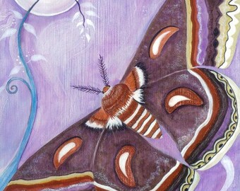 Moth card, Cecropia moth hand painted - Set of 3 blank cards