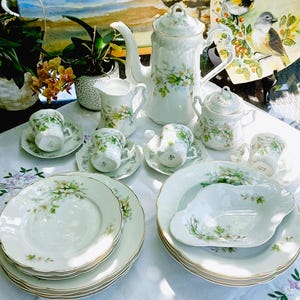 Exquisite Carl Tielsch Altwasser Porcelain Coffee and Dinner Set – Circa 1900 – Rare ‘Wild Rose Blossom’ Design