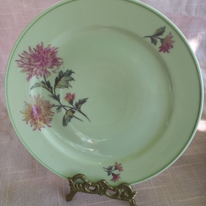 Carl Tielsch Altwasser plates