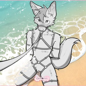 Base P2U - Arnest Beach para perros lobo machos y hembras ||| Ilustración YCH, arte antropomórfico, dios lobo, para colorear, Procreate