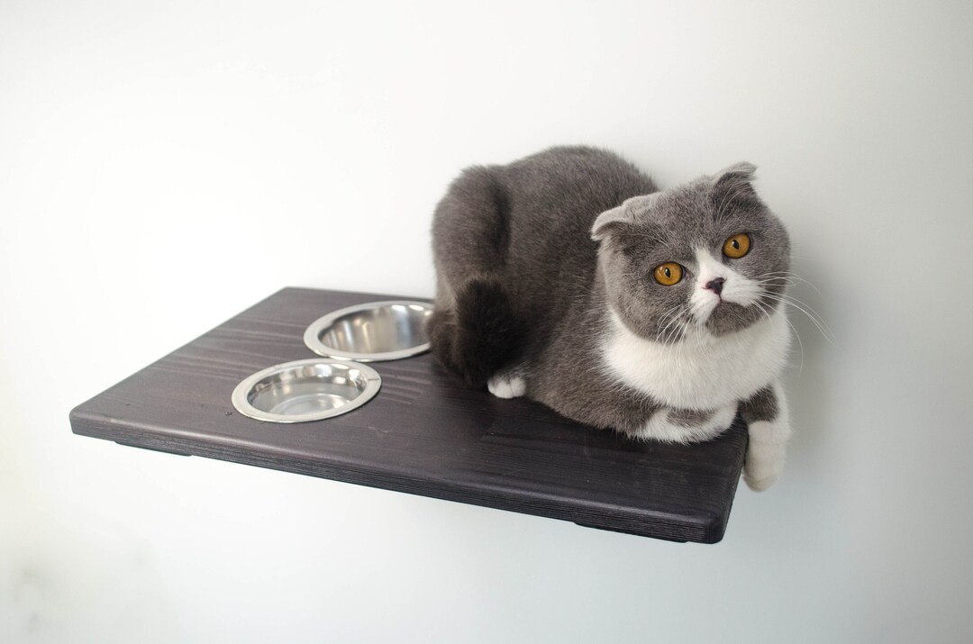 Possum proof cat feeder discount