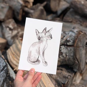 Cat with 2 Heads Print