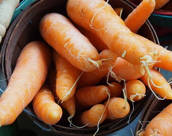 A bunch of carrots!