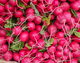 Radishes