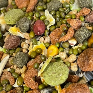 50g Organic Premium Quality Hamster Food Syrian Hamster Food Mix Nutritionally Balanced Mix With Vitamins, Minerals Vegan
