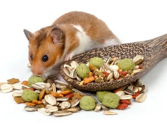 Cibo per criceti biologico di qualità premium, mix di cibo per criceti siriani, mix nutrizionalmente bilanciato con vitamine e minerali, vegano
