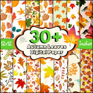 30 + Herbstlaub Digitales Papier, Herbst Hintergrundpapier, Nahtloses Danksagungspapier, Blumen & Blätter Clipart, Herbstmuster Tapete PNG