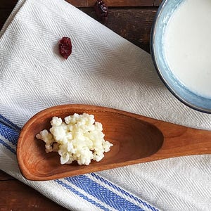 May include: A wooden spoon holding white kefir grains, placed on a white cloth with blue stripes. A small blue bowl containing a white liquid is visible, alongside a few dried cranberries. The setting is a wooden surface.