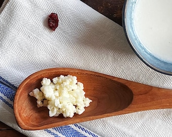 Live Organic Milk Kefir Grains: Super Active Starter Culture
