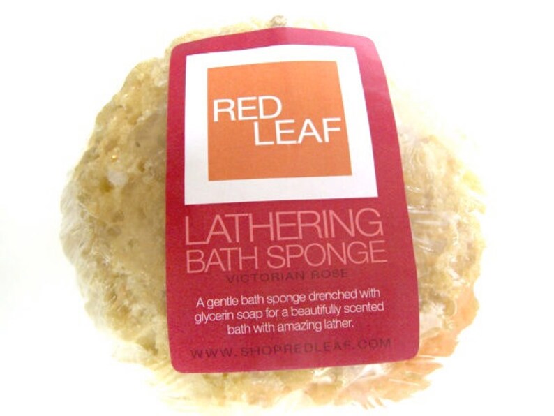 bath sponge with soap
