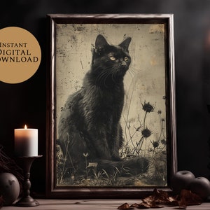 May include: A vintage-style print of a black cat sitting in a field of tall grass. The print is framed in a dark wood frame and has a distressed, aged look.