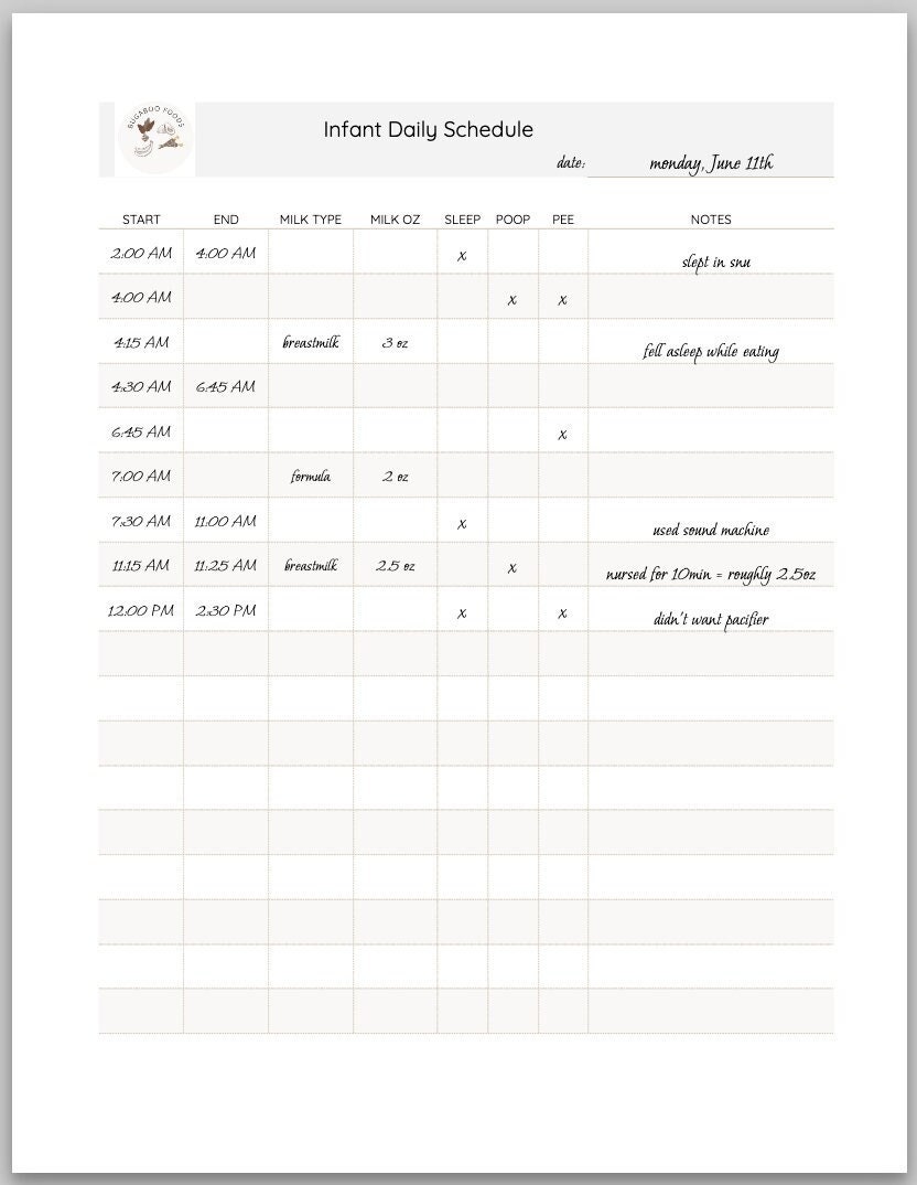 Little One's Daily Routine: Infant Schedule to Print at Home. Baby ...