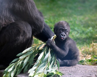 BABY GORILLA TONGUE print