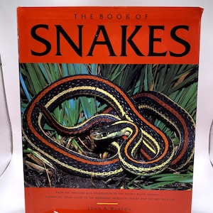 Könnte beinhalten: Ein Buch mit dem Titel "THE BOOK OF SNAKES" mit einem lebendigen Cover, das eine zusammengerollte Schlange mit schwarzen, gelben und orangefarbenen Streifen zeigt. Der Einband hat einen roten Hintergrund und grünes Laub. Das Buch ist ein visueller Leitfaden über Schlangen.