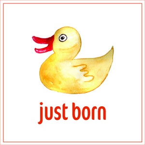 Tarjetas imprimibles mensuales de hitos del bebé con motivo de pato en acuarela
