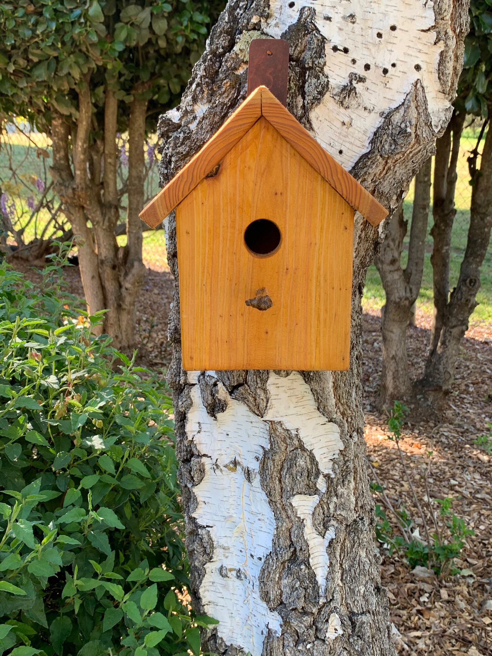 Natural Redwood & Cedar Finch Birdhouse Tree Mount with Perch Etsy