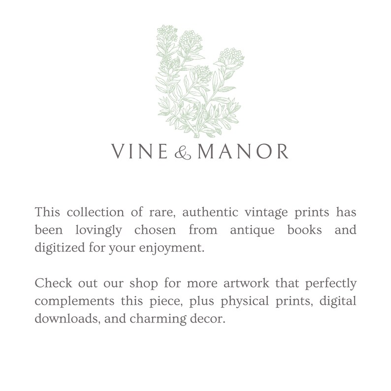 Union Jack Vintage Yacht Flags Nautical Art Print Free Shipping Etsy