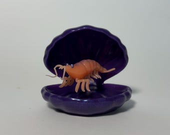 Crevettes ! Maintenant avec coque - Figurine en édition spéciale