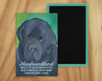 Newfoundland magnet,coworker gift,stocking stuffer,hostess gift,housewarming gift,in memory of,thinking of you,graduation gift