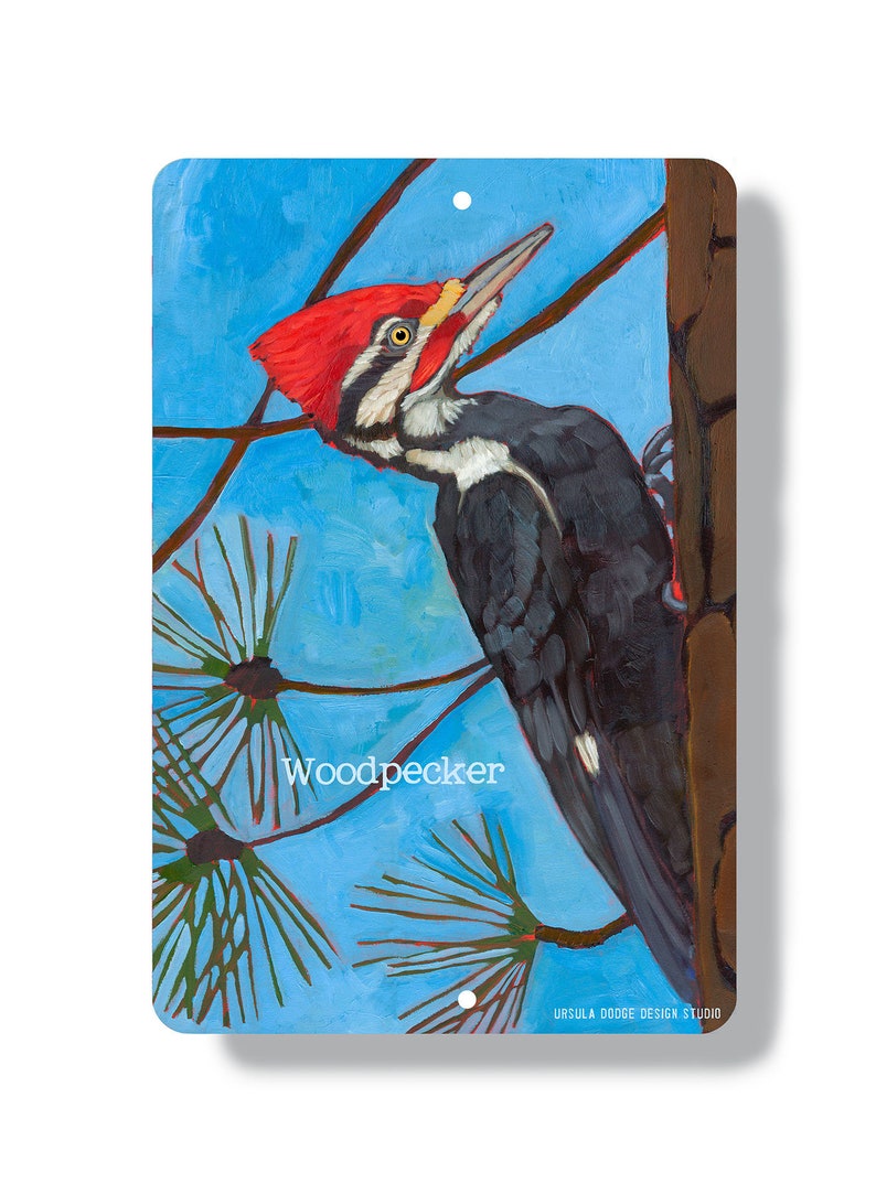 Woodpecker metal sign pileated woodpecker home decor wall | Etsy